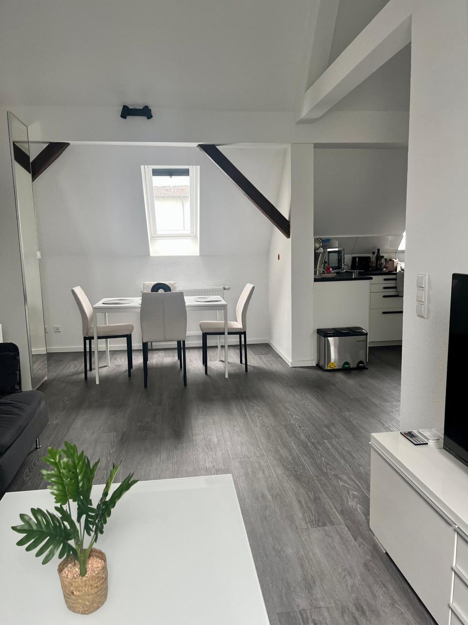 Rk-Lounge,2- Zimmer Wohnung - Modern Und Stylisch Баден-Баден Экстерьер фото